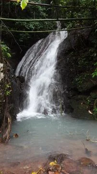 Forest Waterfall Stock Photos