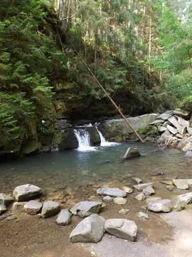 Forest waterfall Fotos de archivo