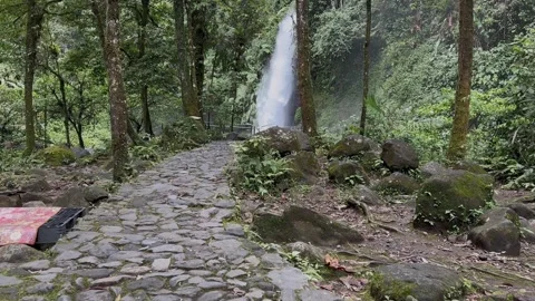 Forest Waterfall Revealed by Stone Path, Lush Tropical Jungle, Low Angle Shot Stock Footage 324497234