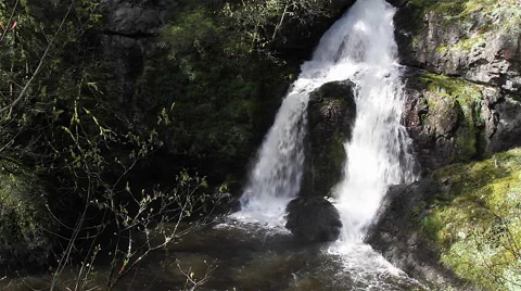 Forest waterfall in shadow and sunlight (3087) Video stock 49269503