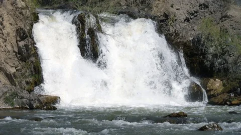 Forest waterfall in slow motion Stock Footage 90564499