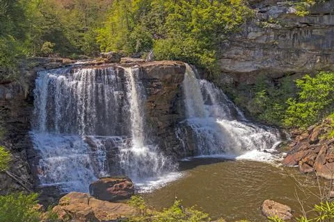 Forest Waterfall in the Spring Stockfoto's