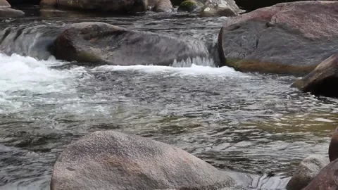 Forest Waterfall Stream Flow Animation Stock Footage 307897405