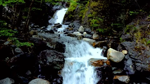 Forest Waterfall Stream Flowing over Mossy Rocks. Patagonia Nature. Stock Footage 323237717
