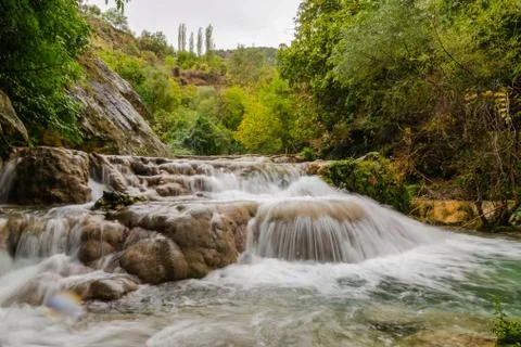 Forest waterfall stream landscape Stock Photos