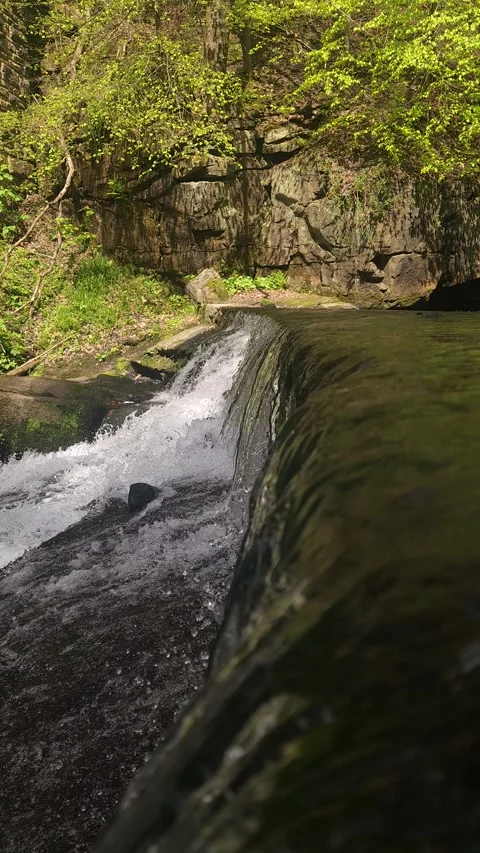 Forest Waterfall Stream – Peaceful Nature, Cascading Water, Scenic Woodland Stock Footage 333674877