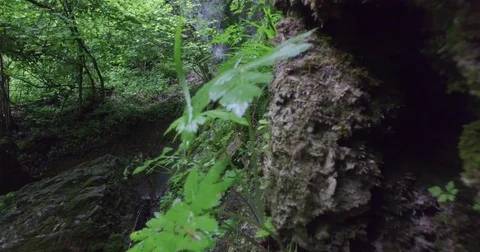 Forest waterfall in summer. Stock Footage 75672703