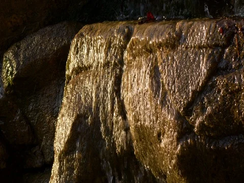 Forest waterfall in sunlight Stock Footage 83462747