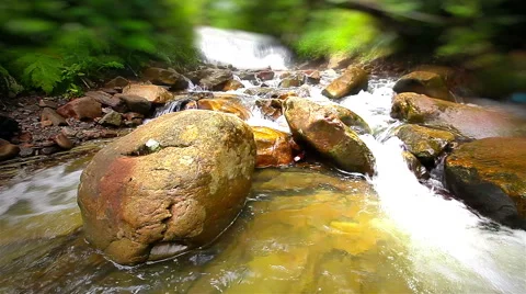 Forest waterfall. tilt shift effect. Stock Footage 58330087
