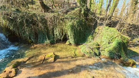 Forest Waterfall to Turquoise Stream – Slow Follow Pan Video stock 330676997
