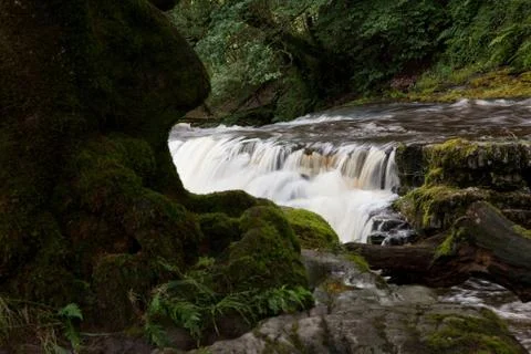 Forest waterfall view Stock Photos
