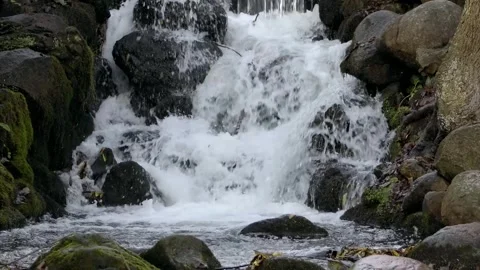 Forest waterfall. Water falling over boulders at high speed Video stock 293395694