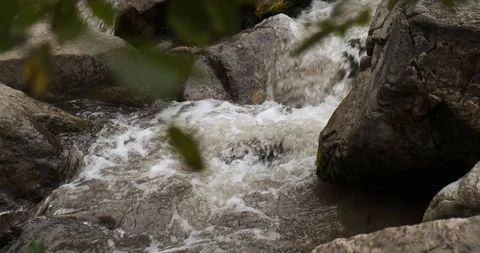 Forest waterfall water flows off cliff into thicket of forest, untouched nature Stock Footage 118297327