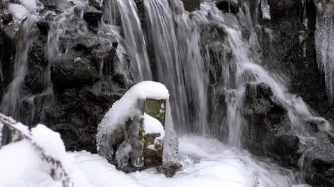 Forest waterfall in winter Video stock 103231702