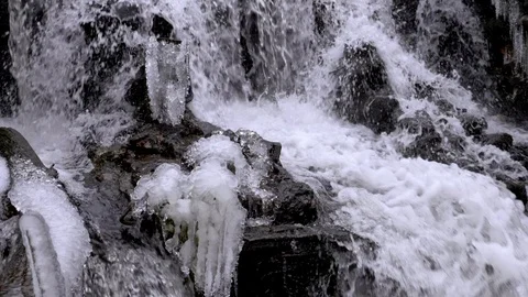 Forest waterfall in winter Stock Footage 115791854