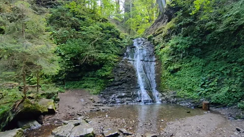 Forest waterfalls in the mountains Stock Footage 220956098