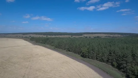 Forest wheat field blue sky clouds. Stock Footage 94106756