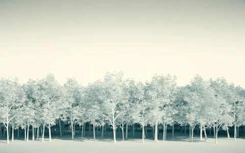 Forest white on white background, 3d Illustration Stock Illustration