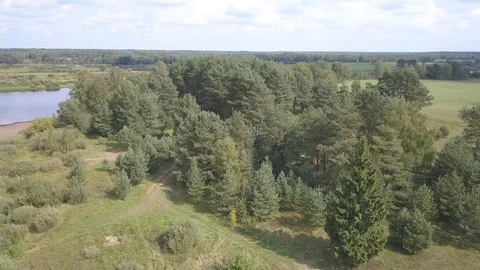 Forest, wild beach, Western Dvina river and fisherman Stock Footage 101048169