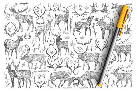 Forest wild deers doodle set Illustrazione stock
