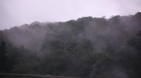 Forest Wildfire Stock-Footage 11864032