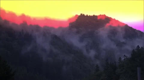 Forest Wildfire Stock-Footage 11864719