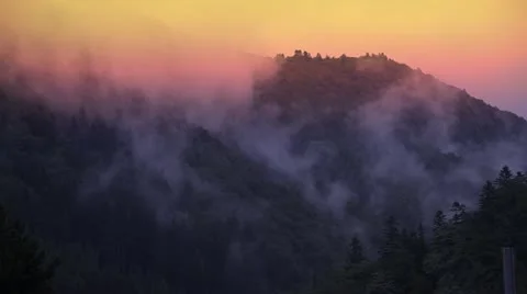 Forest Wildfire at Sunset Stock Footage 12378625