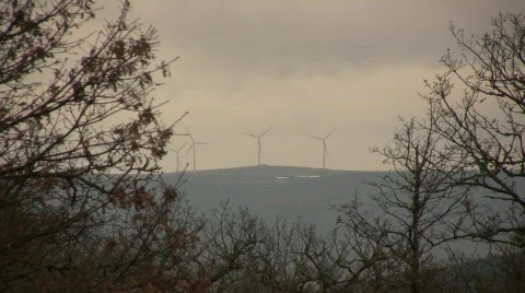 Forest with Wind Turbines Stock Footage 714163