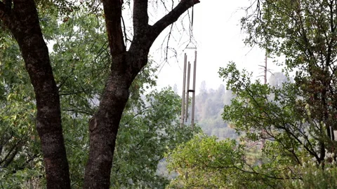 Forest Windchimes Stock Footage 140844051