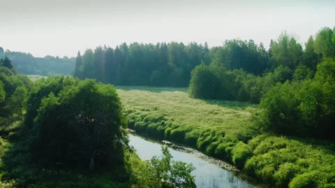 The forest winding narrow river, along the banks of the lush green meadow Stock Footage 257700967