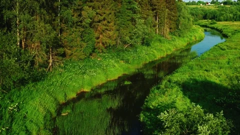 The forest winding narrow river, along the banks of the lush green meadow Stock Footage 257702926