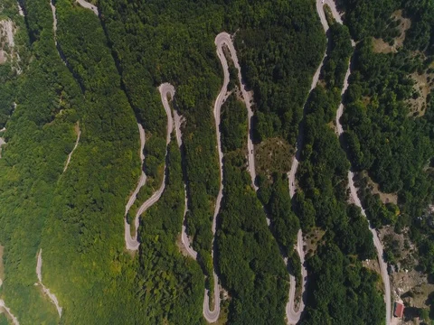 Forest winding road in the mountains Stock Footage 80249132