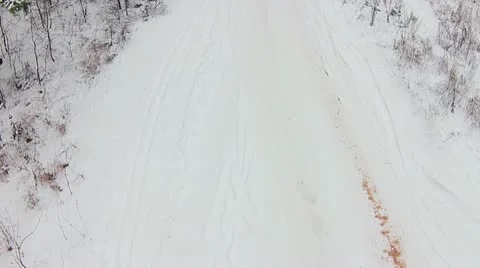 Forest winter 09.mp4 Video stock 8983164