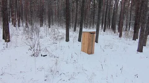 Forest winter 24.mp4 Video stock 8983353