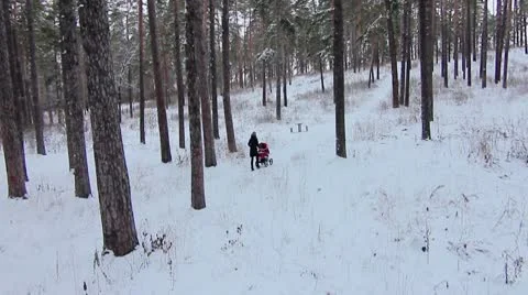 Forest winter 28.mp4 Video stock 8983377