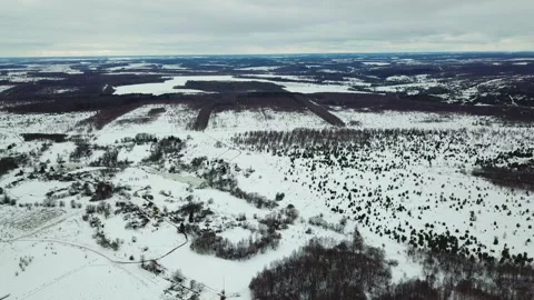 Forest, winter, clouds, top view Stock Footage 109017009