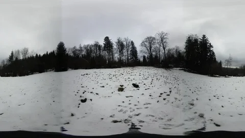 Forest in winter Stock Footage 124800499