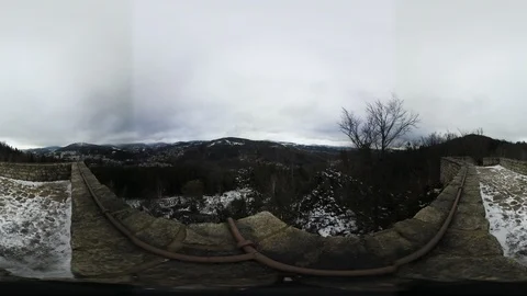 Forest in winter Stock Footage 124801993