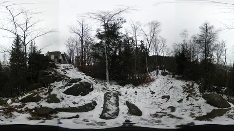 Forest in winter Stock Footage 124802158