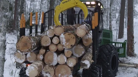 Forest in winter, forwarder piling up the processed wood Video stock 70705693