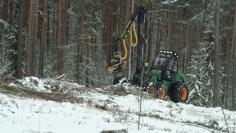 Forest in winter, forwarder processing the wood Stock Footage 70705843
