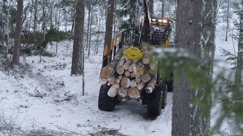 Forest in winter, forwarder transporting wood Stock Footage 70705665