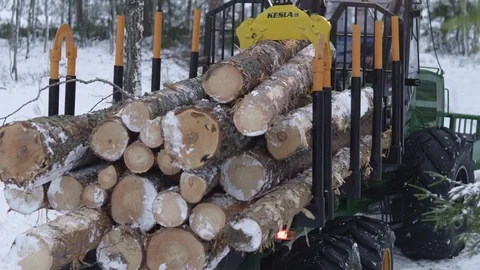 Forest in winter, forwarder transporting wood out Stock Footage 70705697