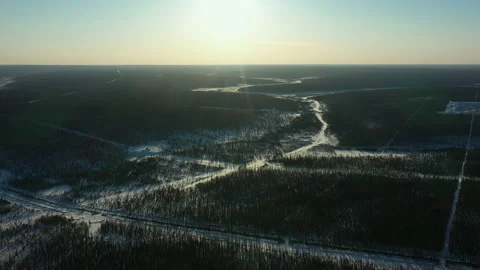 Forest. Winter landscape. Aerial view. Road in snow. Sun in counter. Shadows Stock Footage 172017952