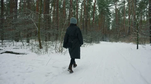 Forest winter landscape Stock Footage 228594485