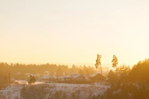 Forest in winter Foto stock