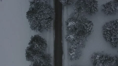 Forest Winter Road (Aerial) Stock Footage 207013861