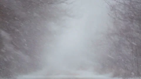 Forest winter road in a blizzard. Stock Footage 124838220