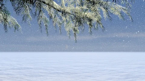 Forest in Winter Snowing Animation, 3D Rendering Stock Footage 121688424