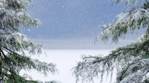 Forest in Winter Snowing Animation, 3D Rendering Stock Footage 121688553